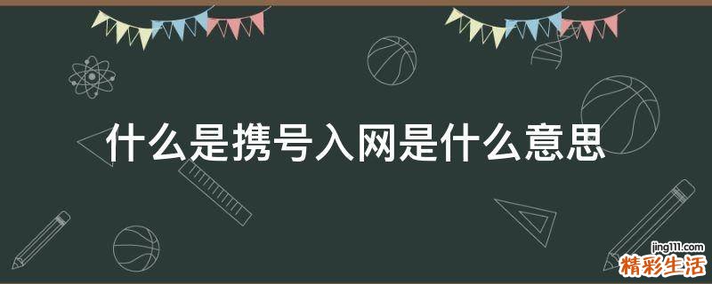 什么是携号入网是什么意思