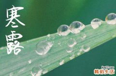 2023年寒露是几点几分,寒露具体时间