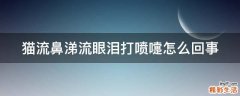 猫流鼻涕流眼泪打喷嚏怎么回事