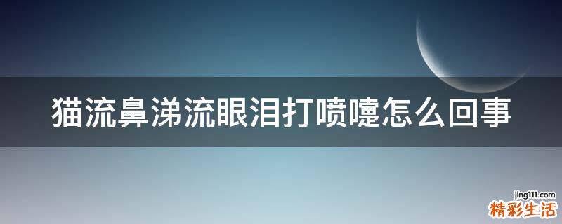 猫流鼻涕流眼泪打喷嚏怎么回事