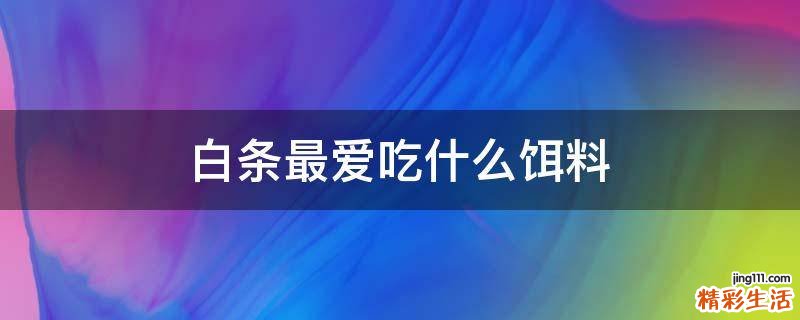 白条最爱吃什么饵料