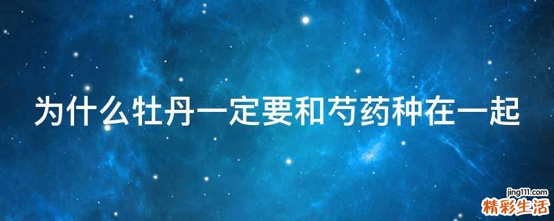 为什么牡丹一定要和芍药种在一起