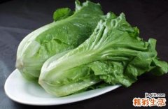 生菜宝宝可以吃吗