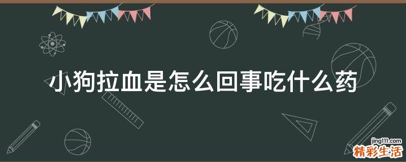 小狗拉血是怎么回事吃什么药