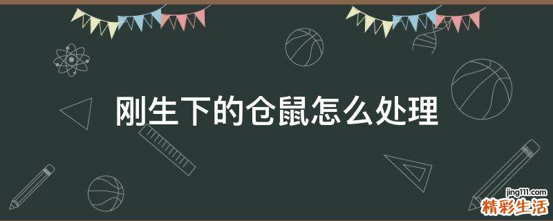 刚生下的仓鼠怎么处理
