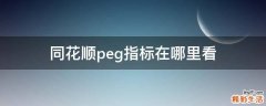 同花顺peg指标在哪里看
