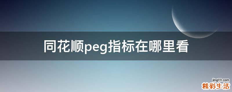 同花顺peg指标在哪里看