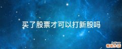 买了股票才可以打新股吗