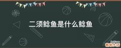 二须鲶鱼是什么鲶鱼
