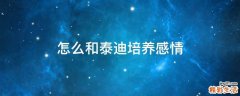 怎么和泰迪培养感情