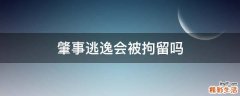 肇事逃逸会被拘留吗