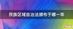 民族区域自治法颁布于哪一年