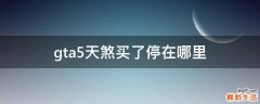 gta5天煞买了停在哪里