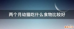 两个月幼猫吃什么食物比较好