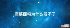 高筋面粉为什么发不了