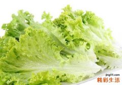 生菜吃了有什么好处 生菜的适用人群与禁忌人群