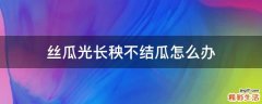 丝瓜光长秧不结瓜怎么办