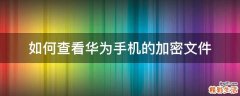 如何查看华为手机的加密文件