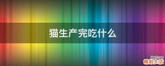 猫生产完吃什么