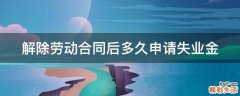 解除劳动合同后多久申请失业金