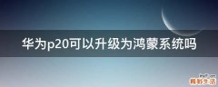 华为p20可以升级为鸿蒙系统吗