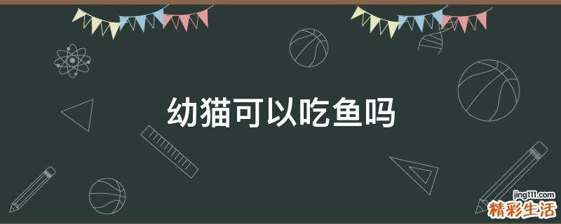 幼猫可以吃鱼吗