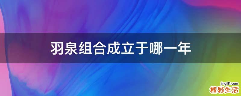 羽泉组合成立于哪一年