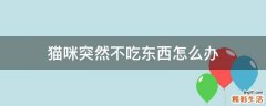 猫咪突然不吃东西怎么办