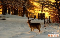 上眼睑增厚松弛的原因_上眼睑增厚松弛是怎么引起的