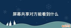 屏幕共享对方能看到什么