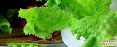 生菜是发物吗 生菜有什么营养