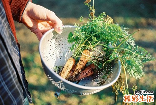 怎样让老人开心