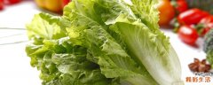 生菜变红还能吃吗 怎么防止生菜变红