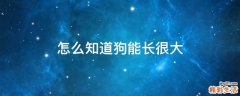 怎么知道狗能长很大