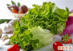拌生菜用什么酱 生菜吃多了会怎样