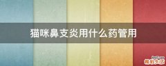 猫咪鼻支炎用什么药管用