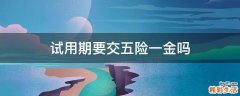 试用期要交五险一金吗