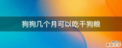 狗狗几个月可以吃干狗粮