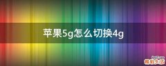 苹果5g怎么切换4g
