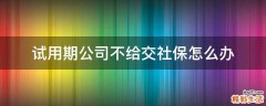 试用期公司不给交社保怎么办