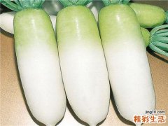 白萝卜的药用价值 萝卜5种吃法最养人