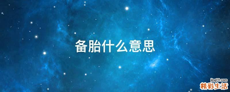 备胎什么意思