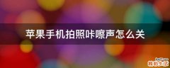 苹果手机拍照咔嚓声怎么关