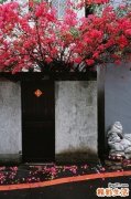 2 50岁老人买什么保险好_为老年人生活加一重保障