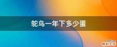 鸵鸟一年下多少蛋