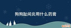 狗狗趾间炎用什么药膏