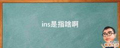 ins是指啥啊