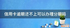 信用卡逾期还不上可以办理分期吗