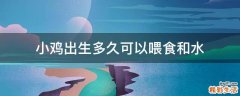 小鸡出生多久可以喂食和水