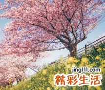 3 怎样去痘痘？15招来帮忙